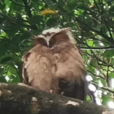 Terrazas Del Golfo Ξενοδοχείο La Palma Εξωτερικό φωτογραφία