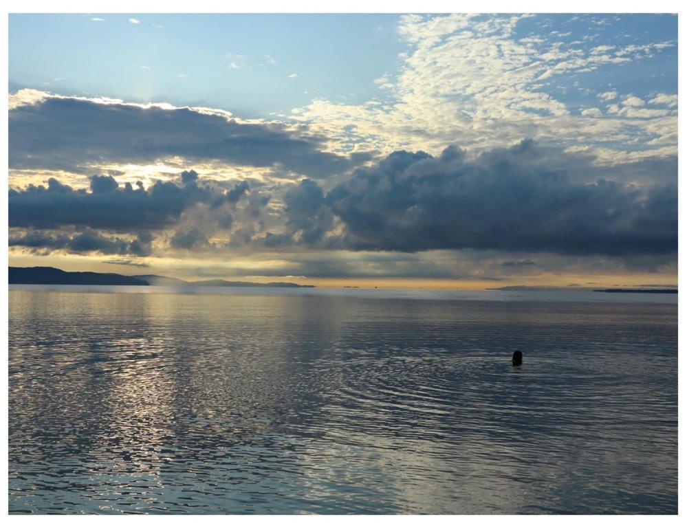 Terrazas Del Golfo Ξενοδοχείο La Palma Εξωτερικό φωτογραφία